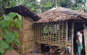 We have some best of pictures to find brilliant ideas, we found these are awesome images. A Typical Filipino Bamboo House B Traditional T Boli Tribe Warrior Download Scientific Diagram