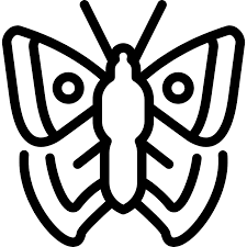 Free Free Large Butterfly Svg 724 SVG PNG EPS DXF File