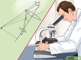 How to draw a microscope easy drawing art. How To Use A Compound Microscope 11 Steps With Pictures