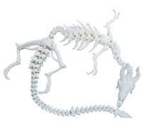 Amazon.com: FLUEFOWL Dragón esqueleto impreso en 3D de ...