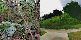 Bukit batok largely sits on gombak norite, a geological formation that is found in high concentrations within the planning area itself, as well as in the western parts of neighbouring cashew. Bukit Batok Hillside Park Petition Gets Over 11 000 Signatures Area Will Now Become A Nature Park