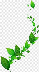 Dynamic Leaf Green Leafed Illustration Free Png Green Leaf Background Floral Poster Pink Floral Painting