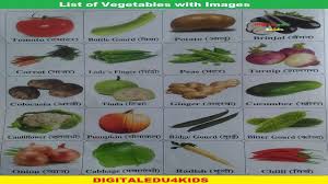 Learn Name Of Vegetables In English And Hindi With Spelling Learn Name In 2020 Name Of Vegetables Vegetables Stuffed Peppers