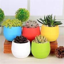 Pin By Uzeyir Ipekcioglu On Saksi In 2020 Flower Pots House Plants Decor Planting Flowers