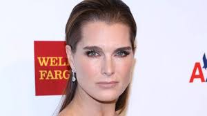 The brooke shields piece is actually one of the artist's famous thefts: Brooke Shields Bilder Infos Biografie