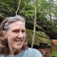 What is causing traffic near Dollywood?