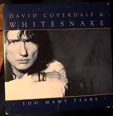 💿💿 Twofer Tuesday 🇺🇸 Chris Whitley Dirt Floor (1998), Perfect Day  (2000) It's been good seeing some Whitley stuff being posted around the  place lately. I've been enjoying going back through his