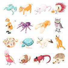We sell and adopt out exotic animals! Free Vector Exotic Pets Isometric Icons