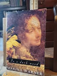 In a Dark Wood By Marina Warner Paperback