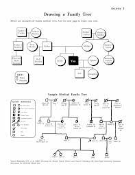 Genetic Genealogy Genogram Template Family Genogram Family Tree Chart