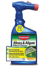 So what is spanish moss and is spanish moss removal for you? How To Get Rid Of Moss On Trees 6 Simple Steps For Killing Moss Pepper S Home Garden