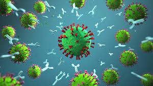 So Verandert Sich Das Coronavirus Swr Wissen