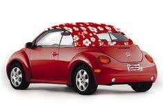 10 beetle bug ideas beetle volkswagen beetle convertible beetle convertible volkswagen beetle convertible