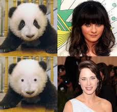 These are the bangs we know and love. Zooey Deschanel Without Bangs Panda Without Black Spots Ryan Broderick Scoopnest
