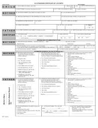 15 Birth Certificate Templates Word Pdf Template Lab Birth Certificate Template Fake Birth Certificate Death Certificate