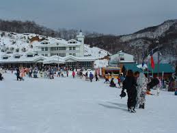 余呉高原リゾートYAP | どこいこ長浜