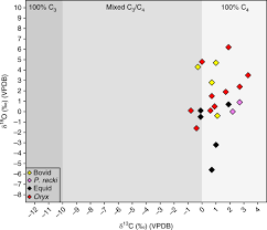 You can use the pot to date the burial based on analysis of stable carbon isotopes in _ can provide information on ancient diet. Fossil Herbivore Stable Isotopes Reveal Middle Pleistocene Hominin Palaeoenvironment In Green Arabia Nature Ecology Evolution