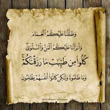 quran hd 002029 هو الذي خلق لكم ما في الأرض جميعا ثم استوى إلى السماء فسواهن سبع سماوات وهو بكل شيء عليم quran hd quran islamic pictures koran