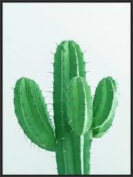 Pada postingan kali ini admin akan berbagi seputar gambar daun monstera kartun yang kami posting dengan judul 6000 gambar daun monstera ka. 20 Ide Daun Tanaman Daun Tanaman Hijau