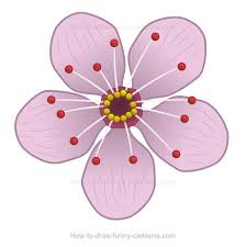 Showing how to draw cherry blossoms. How To Create A Cherry Blossom Drawing