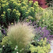 Check spelling or type a new query. Design Basics Don T Plan Just Plant Finegardening