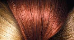 Permanent Black Hair Color Black Hair Dye L Oreal Paris