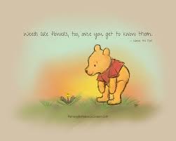 We did not find results for: Weeds Are Flowers Too Once You Get To Know Them A A Milne Pooh Quotes Quotes That Describe Me Quotes For Kids