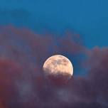 Full Strawberry Moon Energy, Salt, & Sound Activation