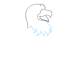 How To Draw A Cartoon Hawk Really Easy Drawing Tutorial Learn how to draw a seagull with simple step by step instructions. cartoon hawk really easy drawing tutorial