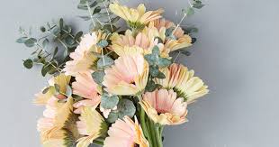 We did not find results for: How To Make Fresh Flowers Last Longer Bouqs Blog