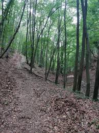 Sunset and sunrise times in mecseknádasd. Wikiloc Picture Of From Varalja To Mecseknadasd Some Good Food At The End 1 4