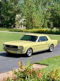 Image result for Sunlight Yellow 1964 Mustang