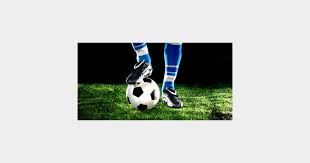 L'arbitre siffle en faveur du dfenseur portugais. Match Portugal Suede En Direct