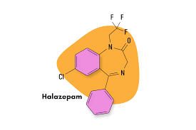 Image result for Halazepam