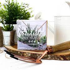 Inspired by my grandmothers, as a kid i was growing any plant i could find. Grow Your Own Terrarium Gift Kit Ab1495 Give The Dog A Bone