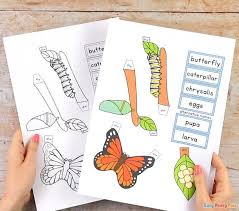 3d Butterfly Life Cycle Craft Butterfly Life Cycle Craft Life Cycle Craft Butterfly Life Cycle