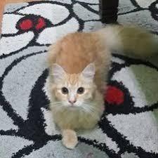 Kau yang satu part 2. Riee Shahadan On Twitter Tonton Kau Yang Satu Full Movie Worldfree4u 300mb Https T Co Fq63qavgwi