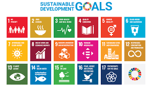 Heads of state and government, senior un officials and representatives of civil society gather in september 2015, as part of the 70th session of the un general assembly and have adopted the sustainable development goals (sdgs). Introduction To The Sustainable Development Goals From A Museum Perspective Nemo Network Of European Museum Organisations