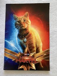 Watch every super bowl 2019 movie & tv trailer. Captain Marvel Goose Original Promo Movie Poster 9 X13 Flyer Marvel Cat At Amazon S Entertainment Collectibles Store