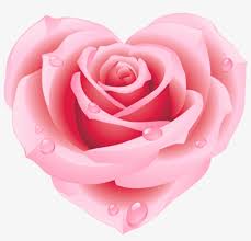 Light pink rose vector red dress flower rose petal heart valentine female hair for valentines day makeup model red women s day smooth cheek pink flowers falling red rose petals falling. Large Pink Rose Heart Clipart Pink Rose Clip Art Transparent Png 524x479 Free Download On Nicepng