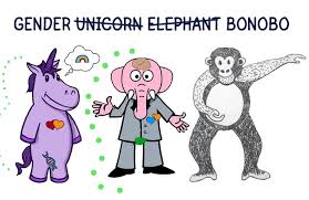 نتيجة بحث الصور عن ‪gender unicorn‬‏