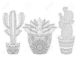 Clipart con fondo transparente para imprimir o utilizar en programas de diseño. Enredar Cactus Conjunto Ilustracion Delinear Las Plantas Del Desierto De Maceta Plantas Suculentas En El Estilo De Dibujo Para Colorear Adultos Antiestres Libros Arte Terapia Boceto De Tatuaje Camiseta De Impresion Ilustraciones