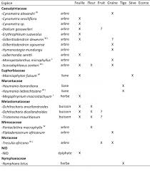 Image result for Ochthocharis dicellandroides
