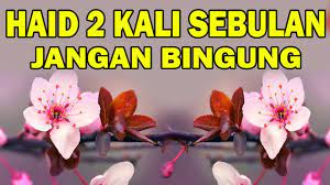 Apa punca datang dua kali sebulan? Haid 2 Kali Sebulan Ini Solusinyaifiqih Haid Bag 3 Youtube