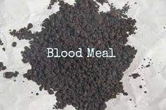 Blood meal is like it sounds, consisting of dried blood and other organic material. 22 Home Made Soil Ideas Garden Soil Mix Garden Soil Soil