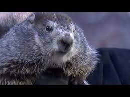 33,988 days works out to precisely 93 years and 43 days, minus a minute. Dilly Dilly Chanted As Punxsutawney Phil Predicts Longer Winter Thrillist