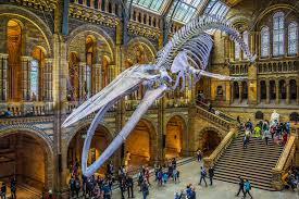 The museum is open with limited access for risd students. The Best Museums In London