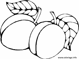 Resultat De Recherche D Images Pour Prune Dessin Dessin Fruits Coloriage Fruits Livre De Couleur