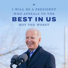 Image result for Bidens elliotii