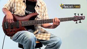 Ibanez Sr505 5 String Electric Bass Guitar Youtube
